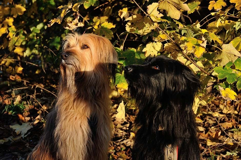 Nessie und Jola