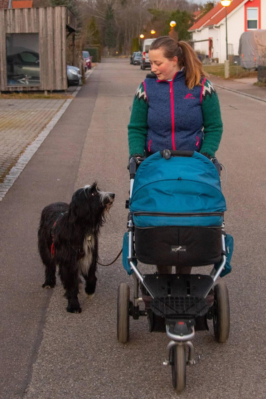 Kinderwagen und Hund Kinderwagen und Hund